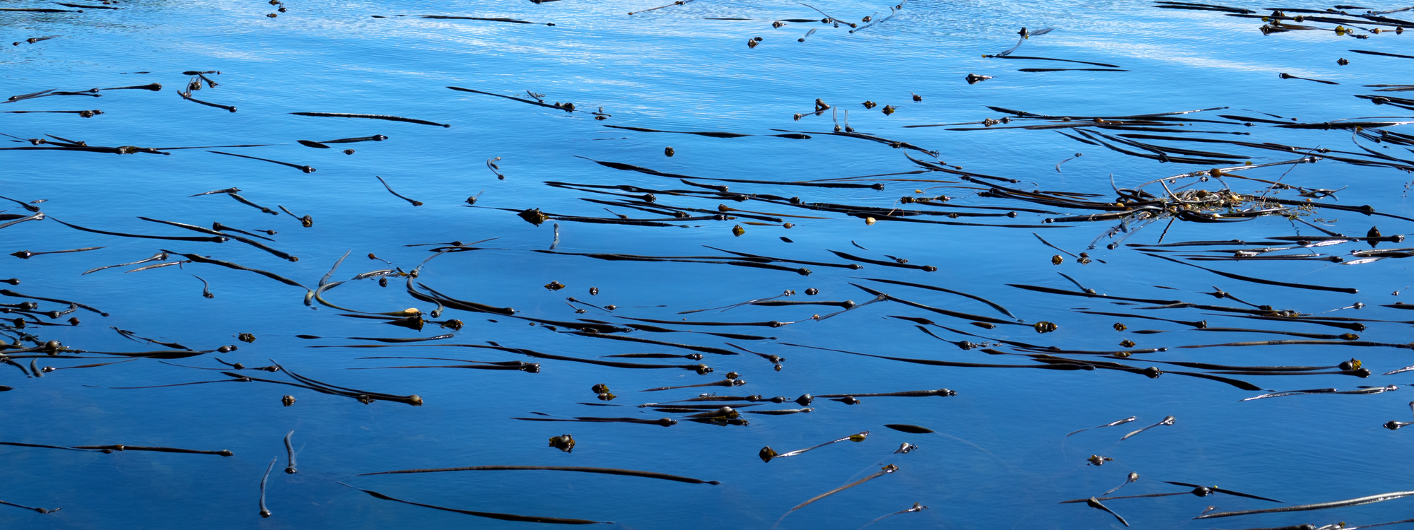 Headerbild4