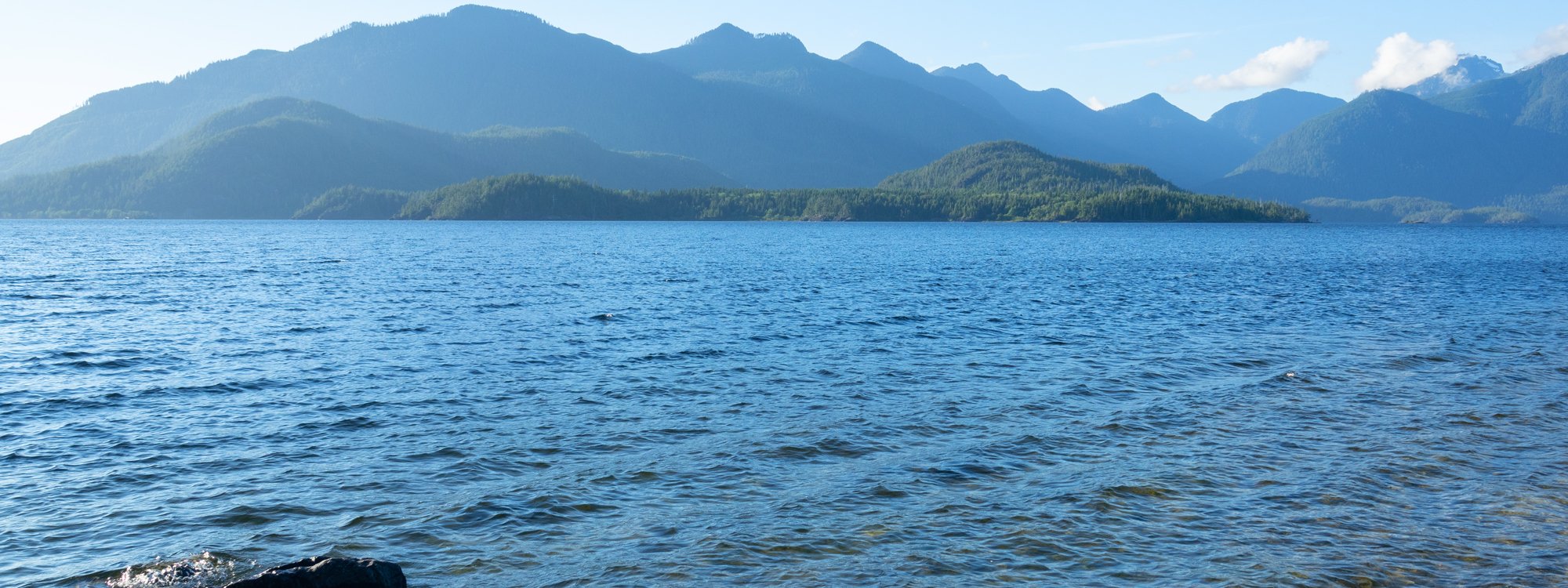 Headerbild3