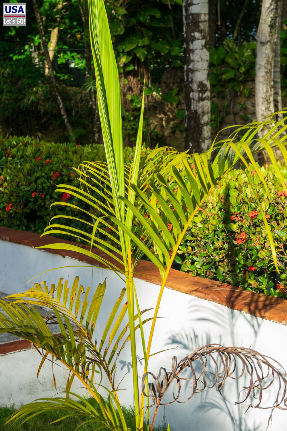 Garten des Hotels Playa de Coson, Playa Cos&oacute;n
