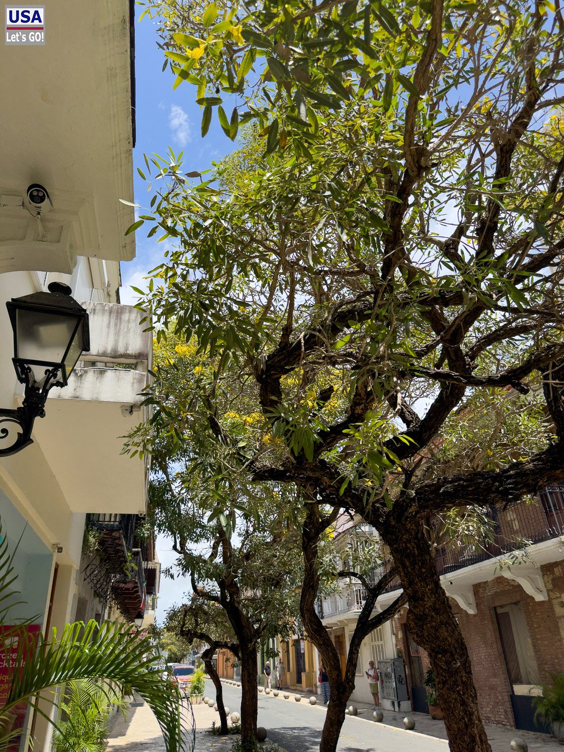 Fu&szlig;g&auml;ngerzone in Santo Domingo