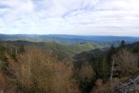 Great Smoky Mountains National Park (TN)